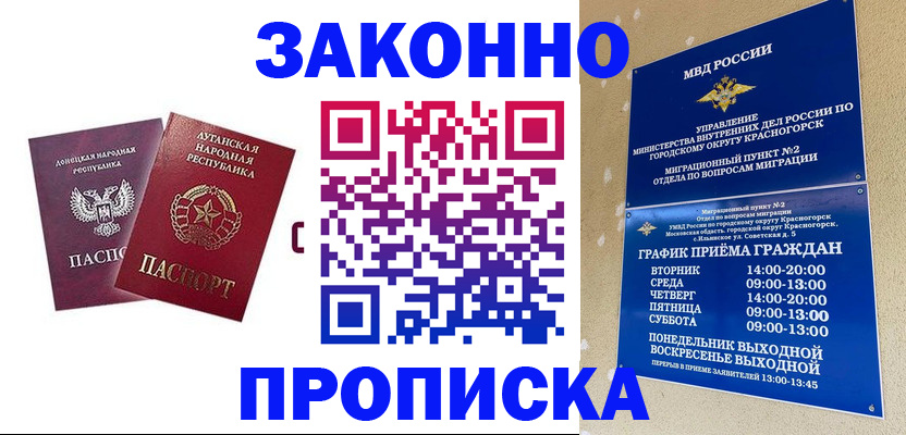 прописка в Курчатове